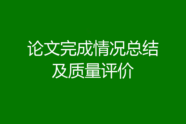 论文完成情况总结及质量评价
