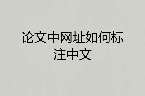论文中网址如何标注中文