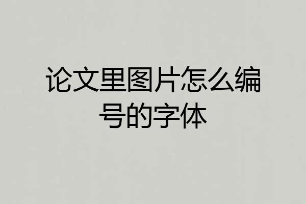 论文里图片怎么编号的字体