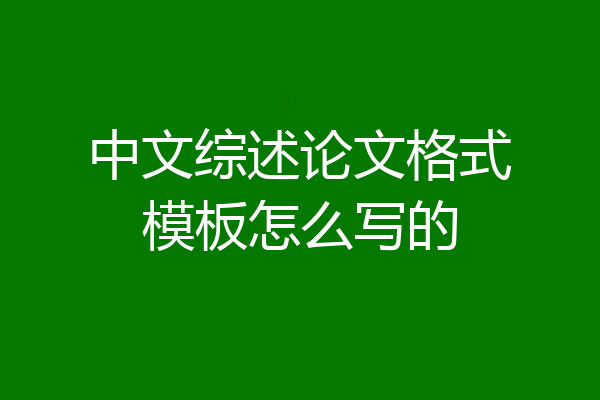 中文综述论文格式模板怎么写的