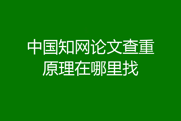 中国知网论文查重原理在哪里找