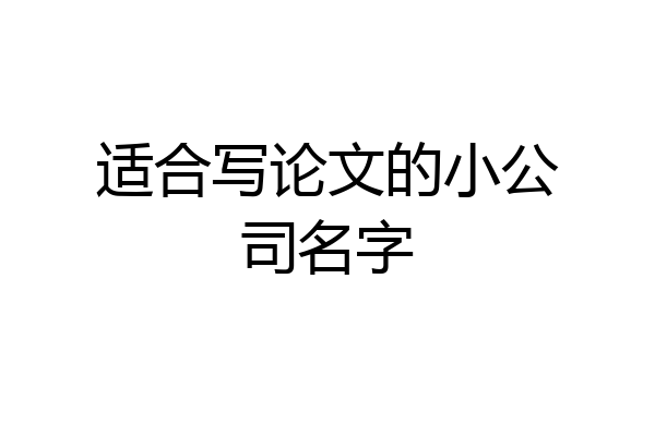 适合写论文的小公司名字