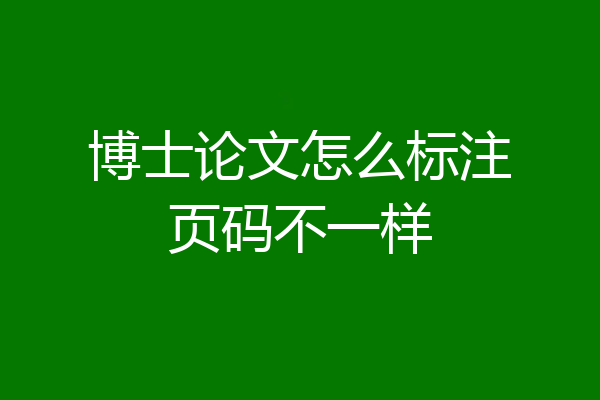 博士论文怎么标注页码不一样