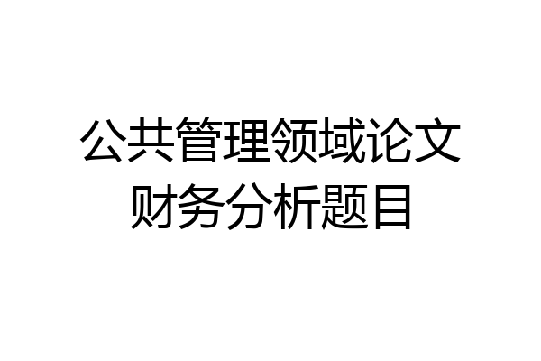 公共管理领域论文财务分析题目