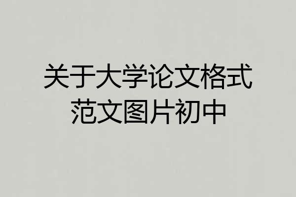 关于大学论文格式范文图片初中