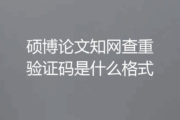 硕博论文知网查重验证码是什么格式