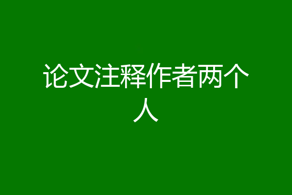 论文注释作者两个人