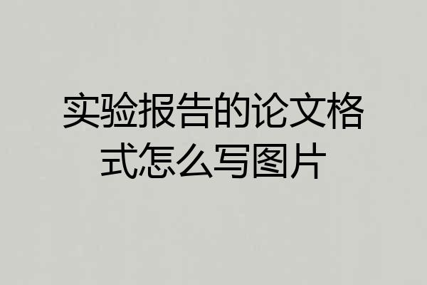 实验报告的论文格式怎么写图片