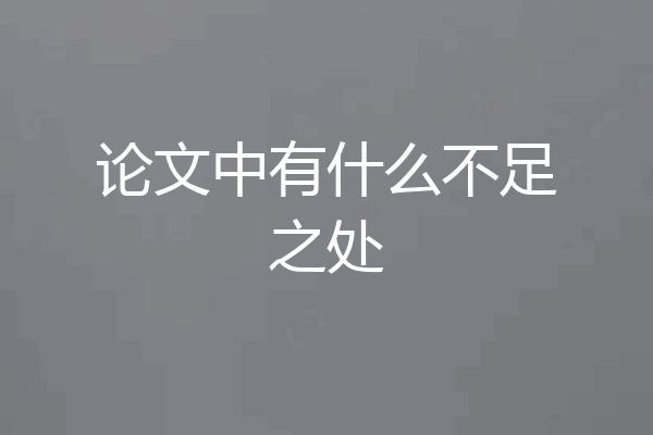 论文中有什么不足之处