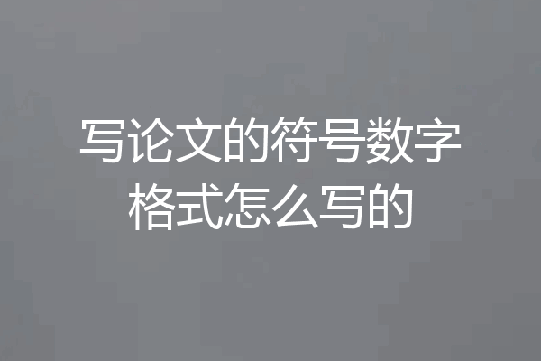 写论文的符号数字格式怎么写的