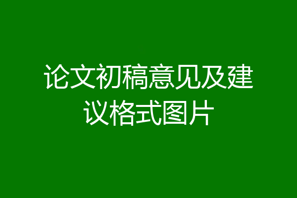 论文初稿意见及建议格式图片