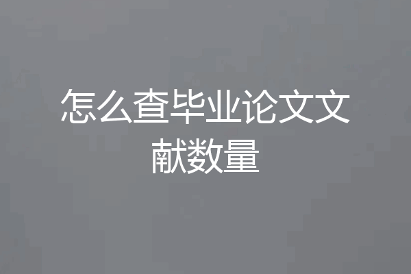 怎么查毕业论文文献数量