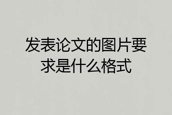 发表论文的图片要求是什么格式