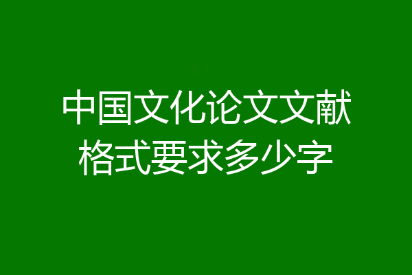 中国文化论文文献格式要求多少字