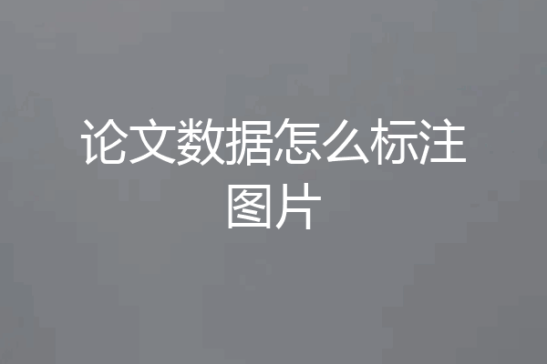论文数据怎么标注图片