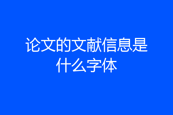 论文的文献信息是什么字体