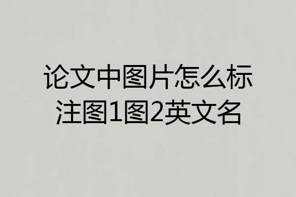 论文中图片怎么标注图1图2英文名