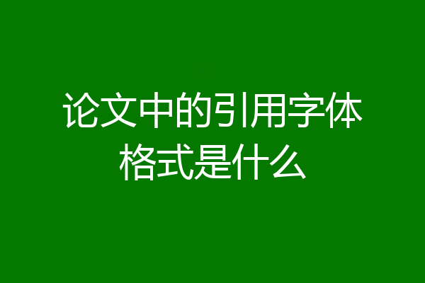 论文中的引用字体格式是什么