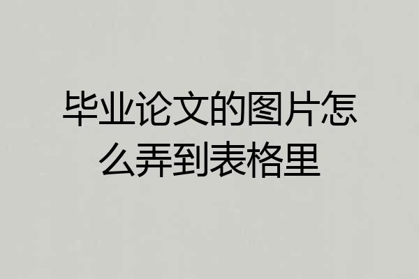 毕业论文的图片怎么弄到表格里