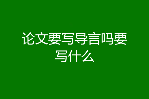 论文要写导言吗要写什么