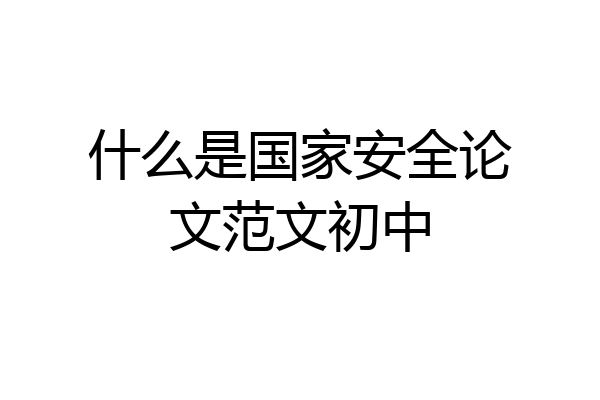 什么是国家安全论文范文初中