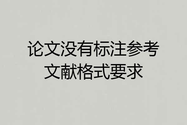 论文没有标注参考文献格式要求