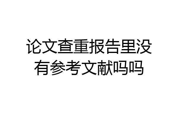 论文查重报告里没有参考文献吗吗