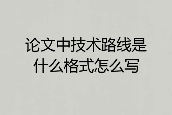 论文中技术路线是什么格式怎么写