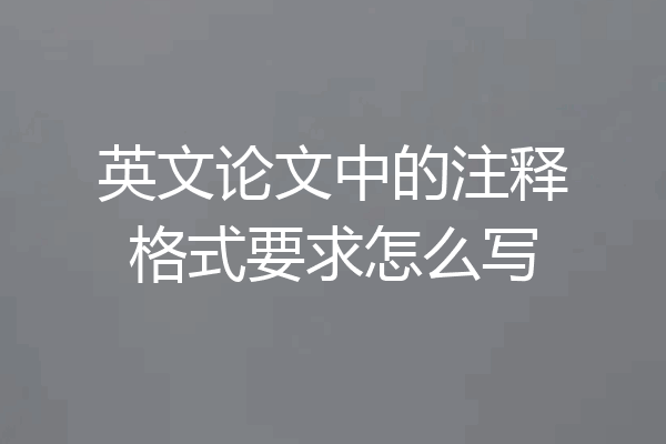 英文论文中的注释格式要求怎么写