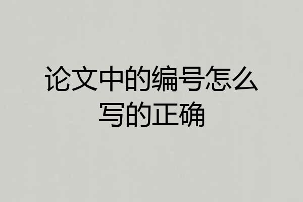 论文中的编号怎么写的正确