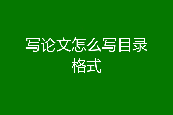 写论文怎么写目录格式