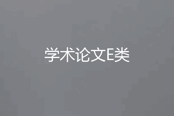 学术论文E类