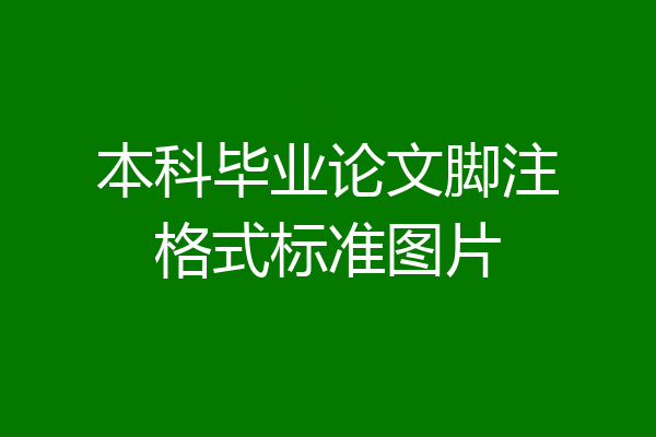 本科毕业论文脚注格式标准图片