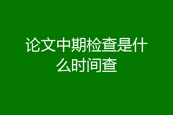论文中期检查是什么时间查