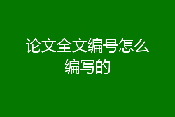 论文全文编号怎么编写的