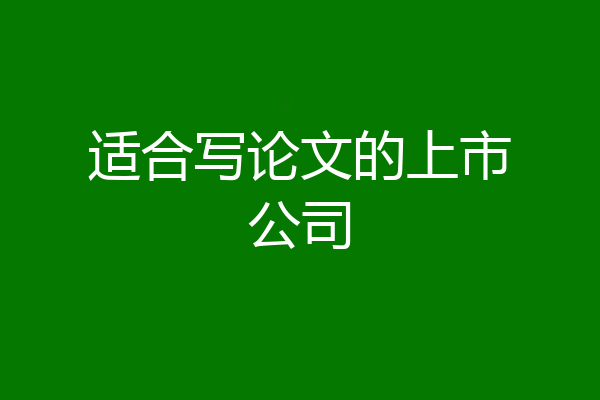 适合写论文的上市公司