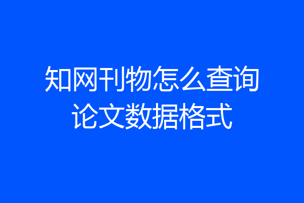 知网刊物怎么查询论文数据格式