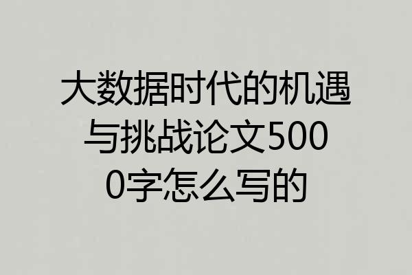 大数据时代的机遇与挑战论文5000字怎么写的