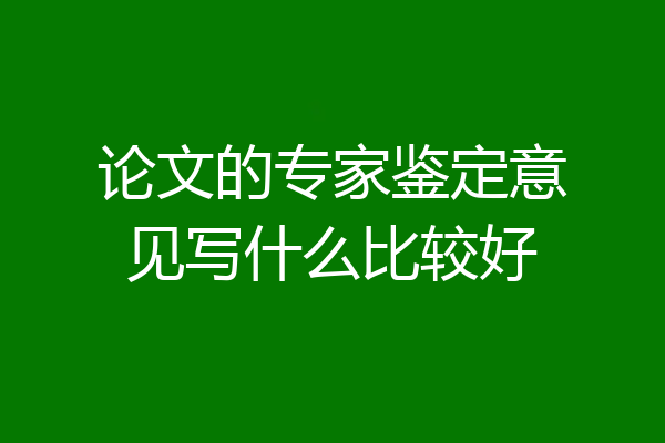 论文的专家鉴定意见写什么比较好