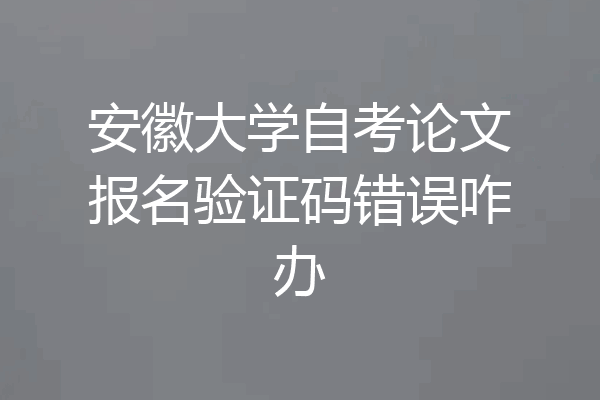 安徽大学自考论文报名验证码错误咋办