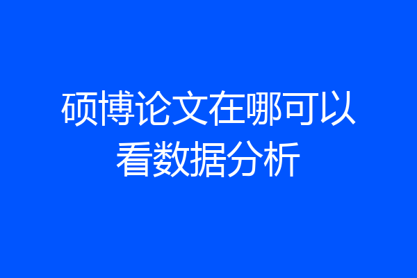 硕博论文在哪可以看数据分析