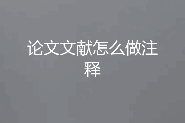 论文文献怎么做注释