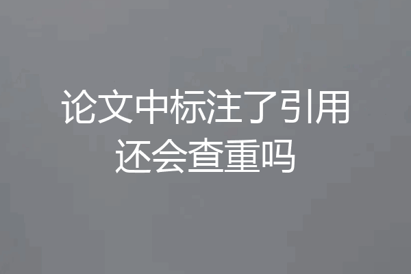 论文中标注了引用还会查重吗