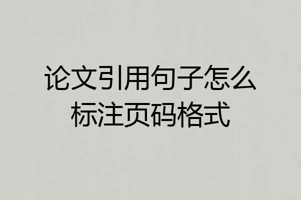 论文引用句子怎么标注页码格式