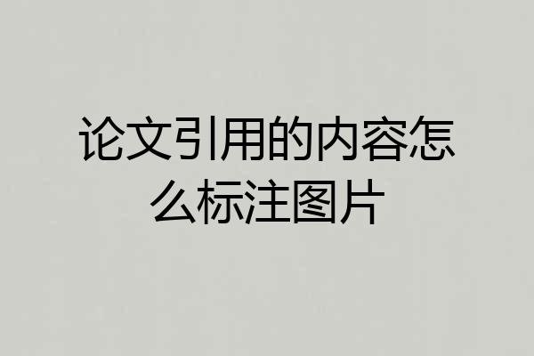 论文引用的内容怎么标注图片