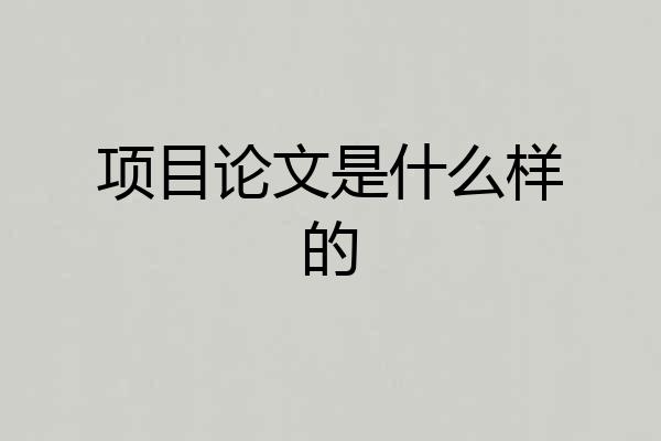 项目论文是什么样的