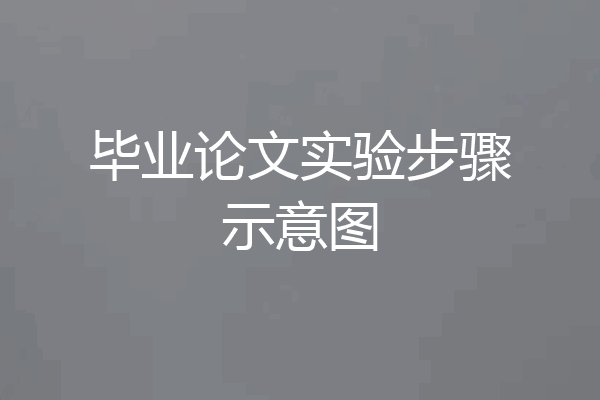 毕业论文实验步骤示意图