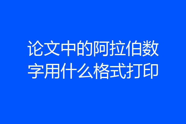 论文中的阿拉伯数字用什么格式打印