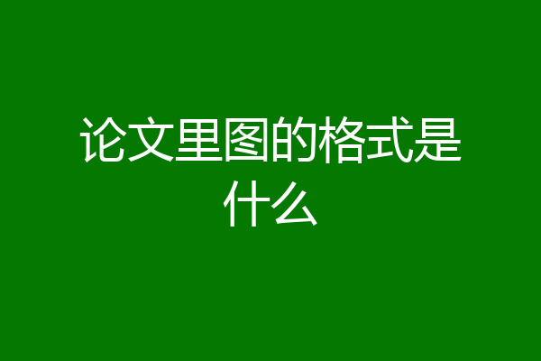 论文里图的格式是什么
