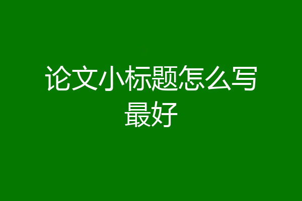 论文小标题怎么写最好
